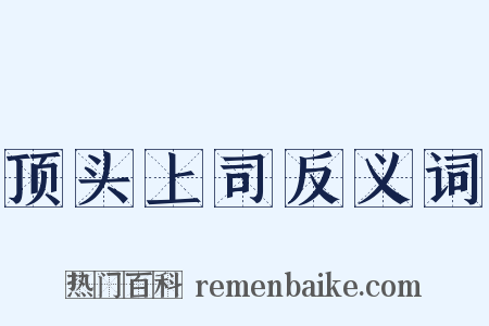 顶头上司反义词是什么意思的图片